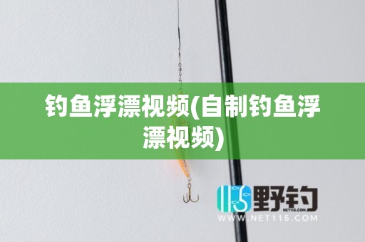 钓鱼浮漂视频(自制钓鱼浮漂视频)