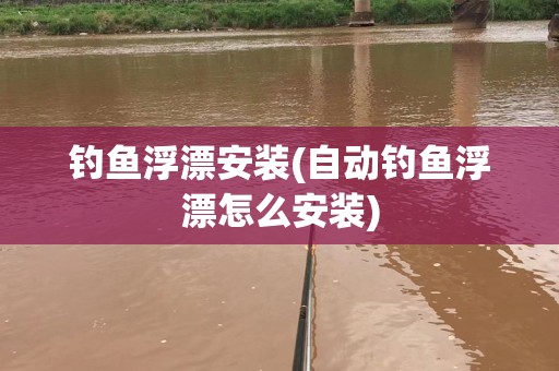 钓鱼浮漂安装(自动钓鱼浮漂怎么安装)