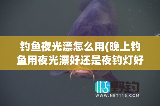 钓鱼夜光漂怎么用(晚上钓鱼用夜光漂好还是夜钓灯好)
