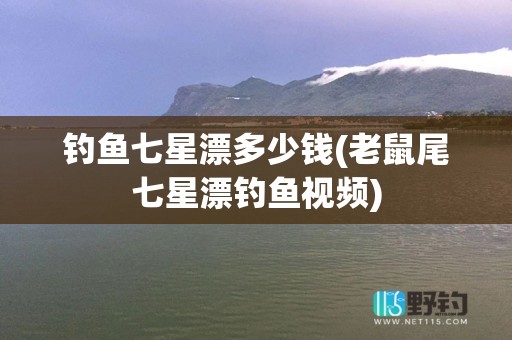 钓鱼七星漂多少钱(老鼠尾七星漂钓鱼视频)