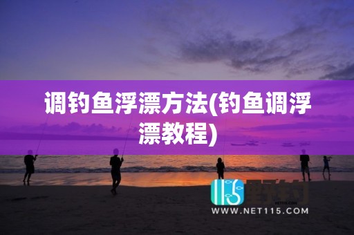 调钓鱼浮漂方法(钓鱼调浮漂教程)