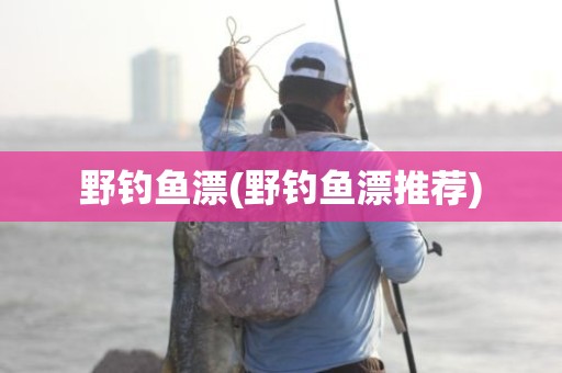野钓鱼漂(野钓鱼漂推荐)