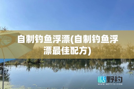 自制钓鱼浮漂(自制钓鱼浮漂最佳配方)