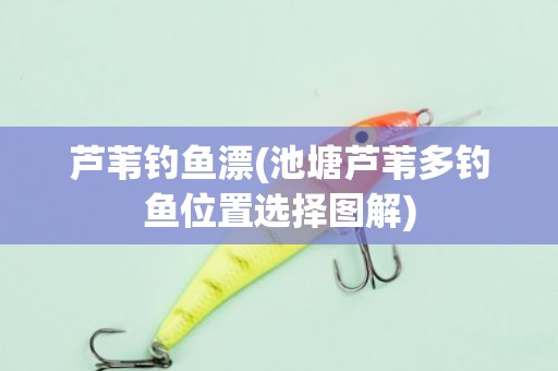 芦苇钓鱼漂(池塘芦苇多钓鱼位置选择图解)