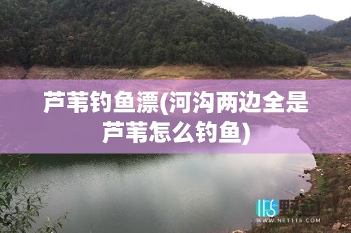 芦苇钓鱼漂(河沟两边全是芦苇怎么钓鱼)