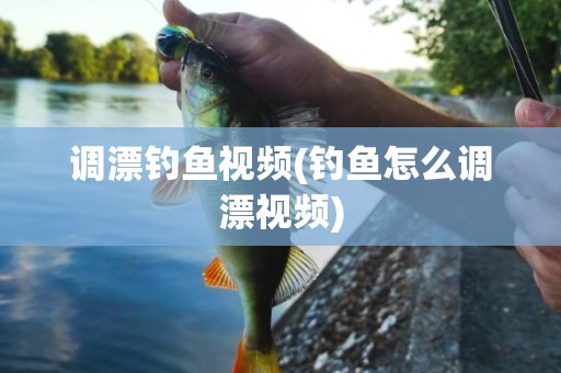 调漂钓鱼视频(钓鱼怎么调漂视频)