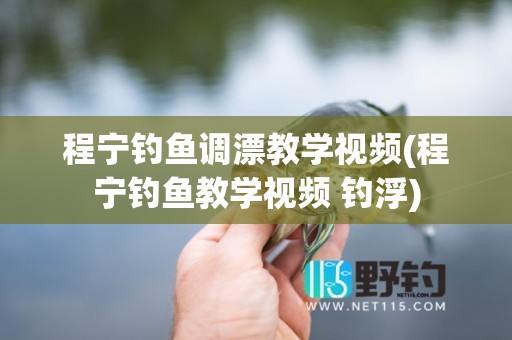 程宁钓鱼调漂教学视频(程宁钓鱼教学视频 钓浮)