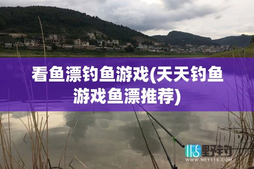 看鱼漂钓鱼游戏(天天钓鱼游戏鱼漂推荐)