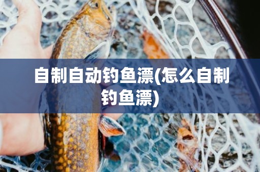 自制自动钓鱼漂(怎么自制钓鱼漂)
