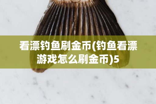 看漂钓鱼刷金币(钓鱼看漂游戏怎么刷金币)5