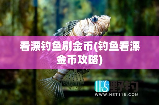 看漂钓鱼刷金币(钓鱼看漂金币攻略)