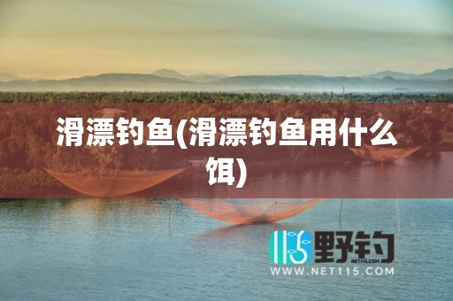 滑漂钓鱼(滑漂钓鱼用什么饵)