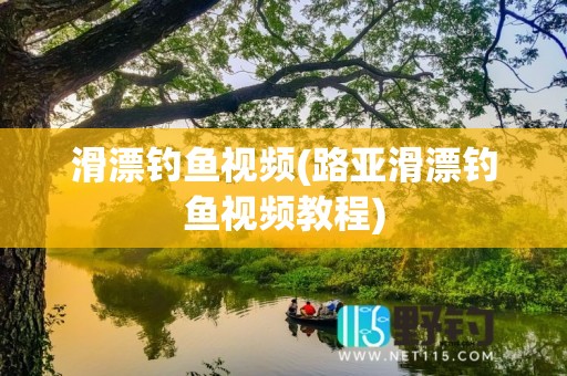 滑漂钓鱼视频(路亚滑漂钓鱼视频教程)