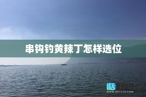 串钩钓黄辣丁怎样选位