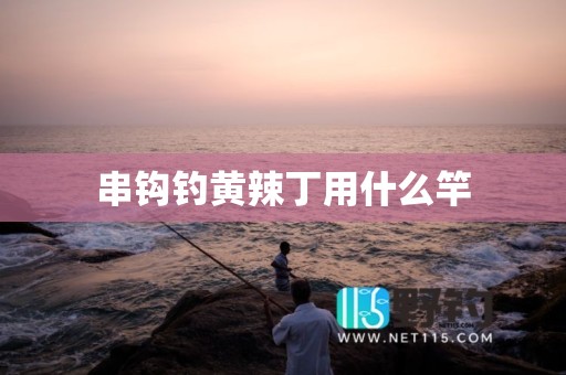 串钩钓黄辣丁用什么竿
