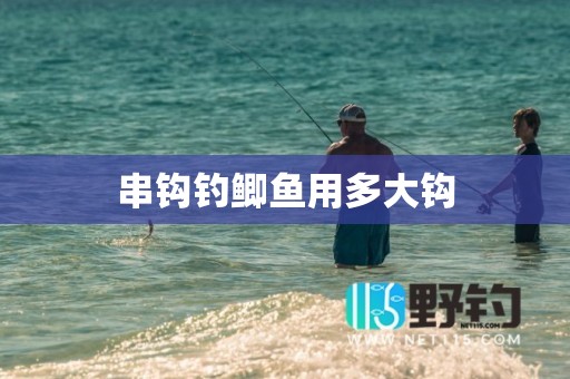 串钩钓鲫鱼用多大钩