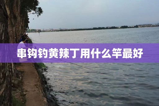串钩钓黄辣丁用什么竿最好