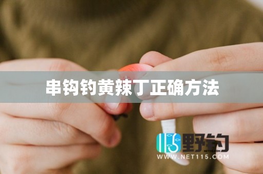 串钩钓黄辣丁正确方法