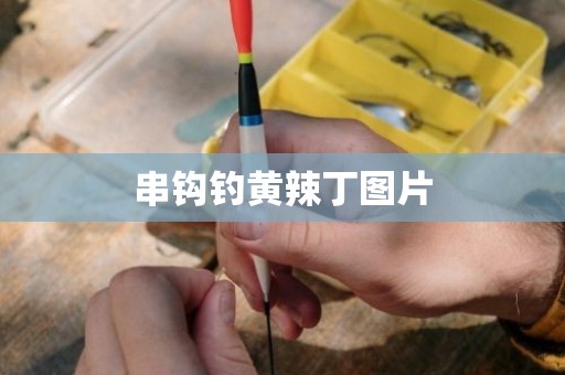 串钩钓黄辣丁图片