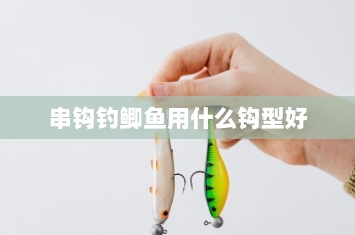 串钩钓鲫鱼用什么钩型好