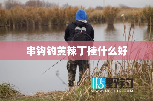 串钩钓黄辣丁挂什么好