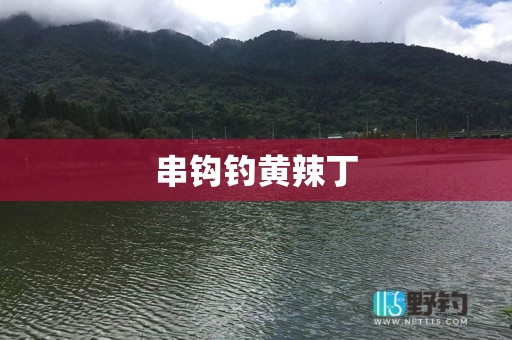 串钩钓黄辣丁