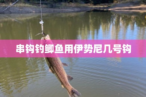 串钩钓鲫鱼用伊势尼几号钩
