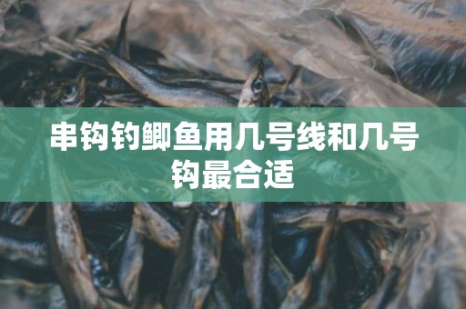 串钩钓鲫鱼用几号线和几号钩最合适