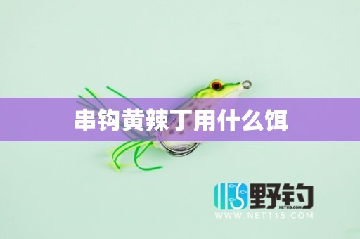 串钩黄辣丁用什么饵