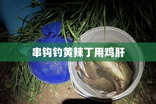 串钩钓黄辣丁用鸡肝
