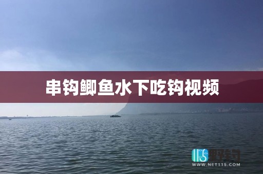 串钩鲫鱼水下吃钩视频