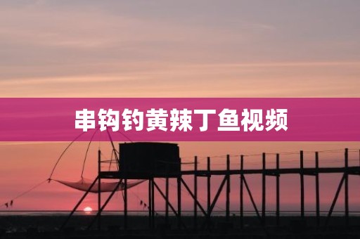 串钩钓黄辣丁鱼视频