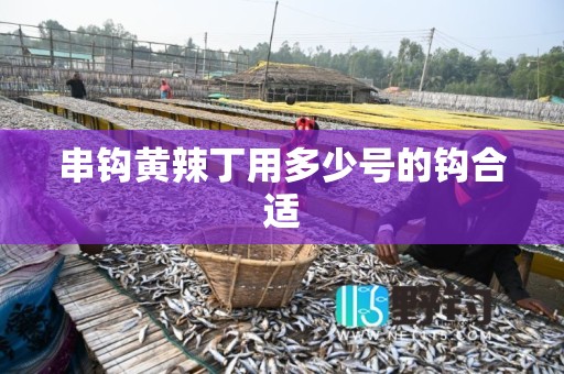 串钩黄辣丁用多少号的钩合适