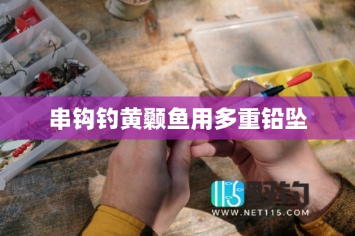 串钩钓黄颡鱼用多重铅坠