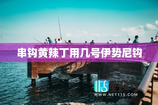 串钩黄辣丁用几号伊势尼钩