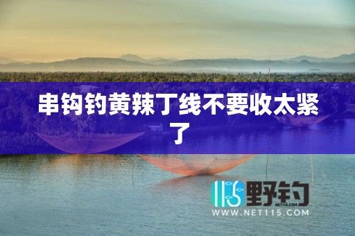 串钩钓黄辣丁线不要收太紧了