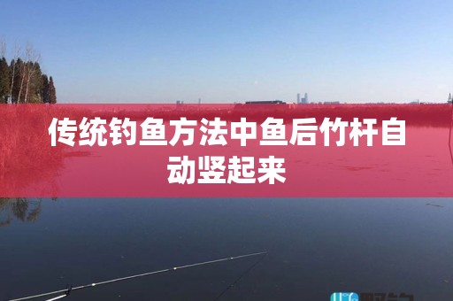 传统钓鱼方法中鱼后竹杆自动竖起来