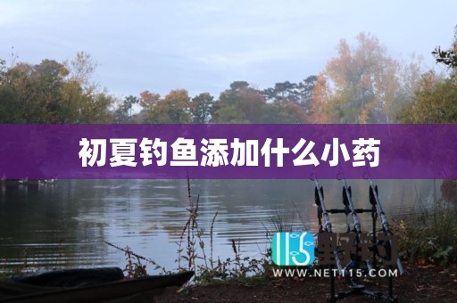 初夏钓鱼添加什么小药