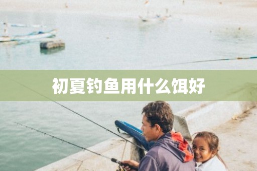 初夏钓鱼用什么饵好