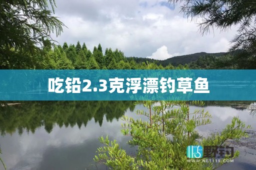 吃铅2.3克浮漂钓草鱼