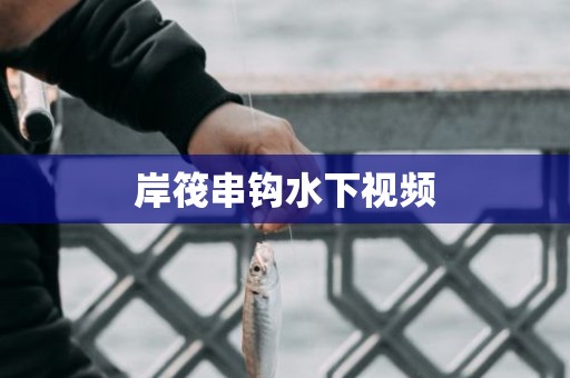 岸筏串钩水下视频