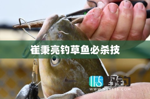 崔秉亮钓草鱼必杀技