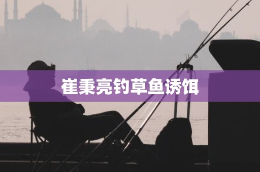 崔秉亮钓草鱼诱饵