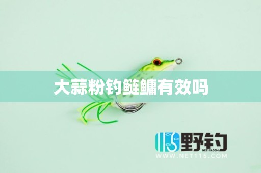 大蒜粉钓鲢鳙有效吗