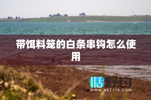 带饵料笼的白条串钩怎么使用