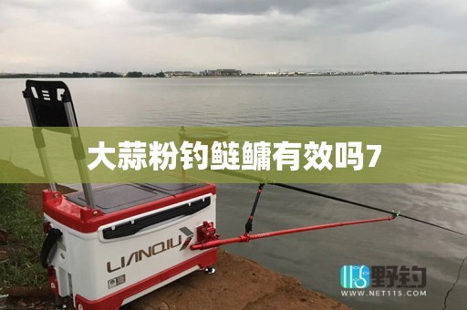 大蒜粉钓鲢鳙有效吗7