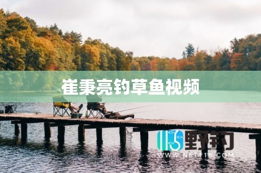 崔秉亮钓草鱼视频