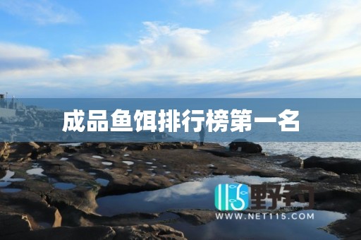 成品鱼饵排行榜第一名