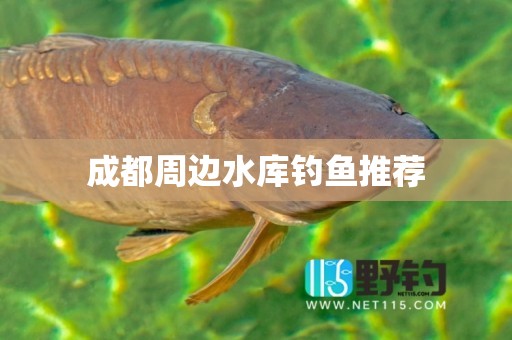 成都周边水库钓鱼推荐