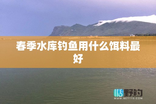 春季水库钓鱼用什么饵料最好